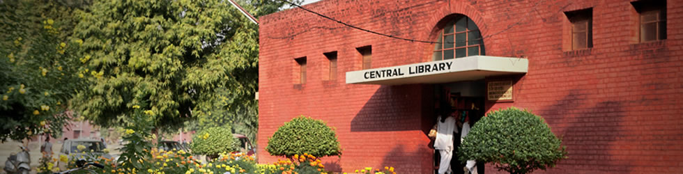 DEI Campus photo 11